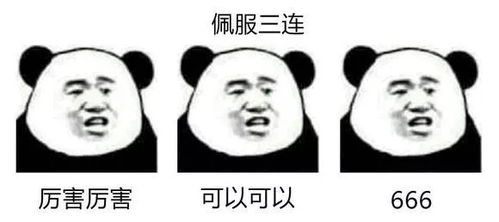 体验归来这是我在六旗乐园做过最酷的事情
