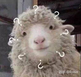 石头剪刀布表情包沙雕