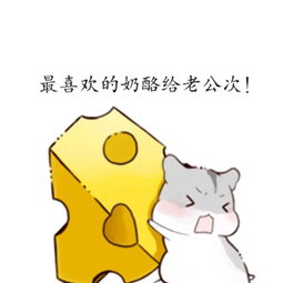 小仓鼠表情包