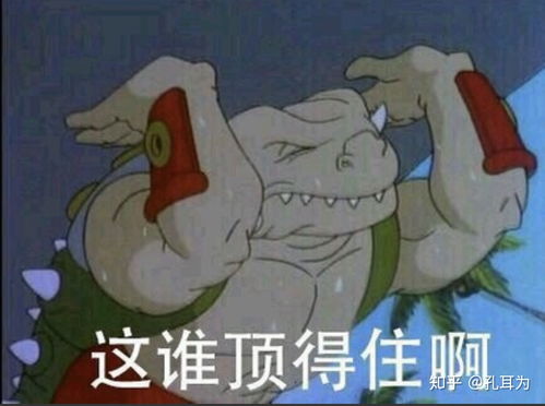 烧火的表情包土土