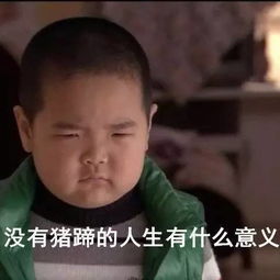 菜摊生猪墓地煤气灶火柴杆这个画风的司法拍卖请收下我的膝盖