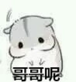 仓鼠球表情包系列哥哥,最爱的一组