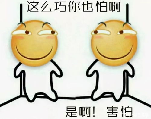 高考时别紧张,因为考场里,可能有个人比你还紧张,哈哈哈