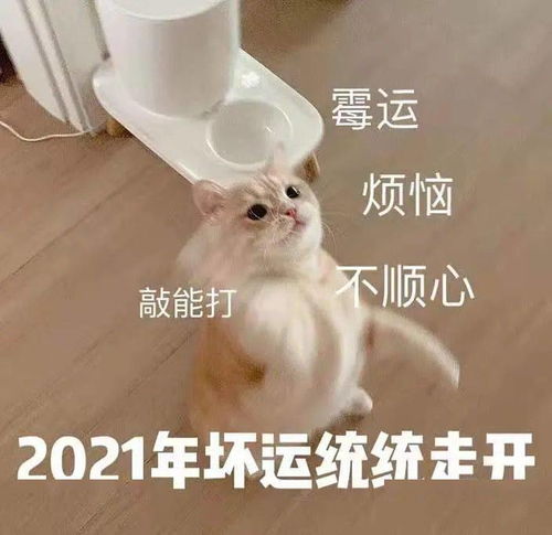 这魔幻的2020年过完了网友猝不及防