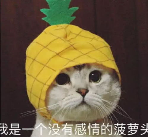 不好意思说我喜欢你,那就用表情包吧,200让你脱单