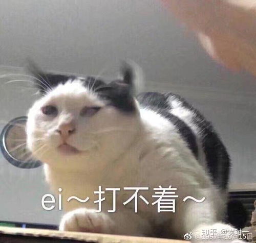 喜欢一个性单恋的女生自己该怎么做