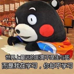 熊本熊关于学习的表情包我爱学习,学习使我快乐