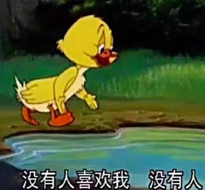 林更新养了只二哈,张一山专宠草泥马,而薛之谦遭到了爱犬的嫌弃