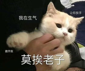 开心一刻小时候读书的时候,成绩一直都还可以,就是不爱做作业