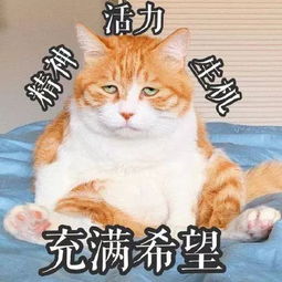 表情包我是鳌拜的弟弟熬夜