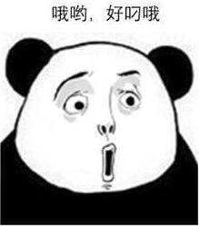 哦哈哟表情包