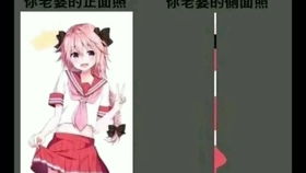 承包我一个月笑点的fgo沙雕图