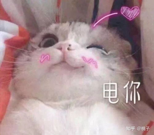 机打水光和手打水光,效果区别大吗