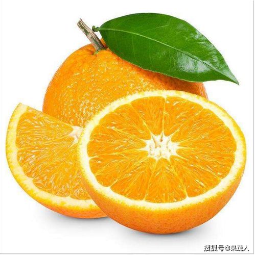 中国已是西班牙鲜橙欧盟外第一大出口市场柑橘