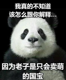 求此系列的表情包,熊猫的