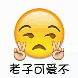 求这个类型的表情包或者集合跪求