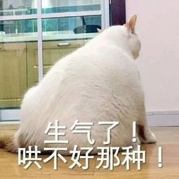 生气很不好表情包