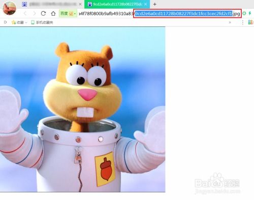 怎样制作贴吧表情代码贴吧表情代码原理