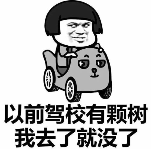 派学车学车五大派大揭秘,来看看你是哪一派教练