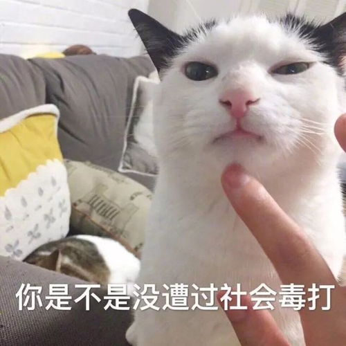 昨天在高铁上骂街的东北女乘客,被指在出租车上撒泼...