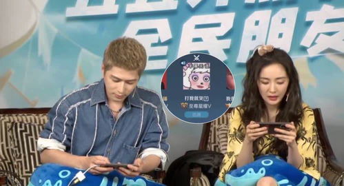 5g冲浪石锤杨幂游戏id名叫打我就哭,头像用表情包羊幂无语