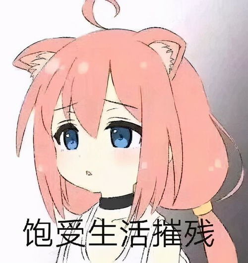 分享点动漫二次元表情包吧,需要自存第一期