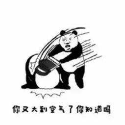 塔都被偷了,知道不