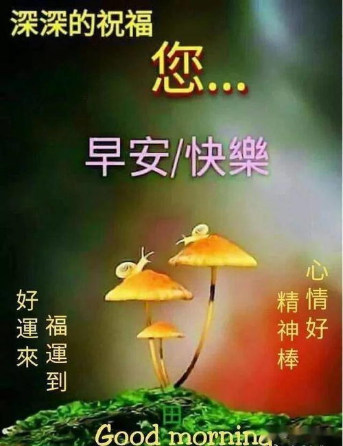 用加法爱人,用减法怨恨,用乘法感恩,用除法解忧早安开心