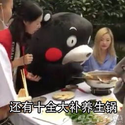 生活不止眼前的枸杞还有远方的西洋参表情包图片下载生活不止眼前的枸杞系列表情包完整无水印版下载9553下载