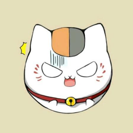 猫咪老师头像,超清猫咪老师头像图片大全