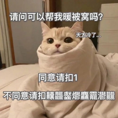 跟男朋友道歉的表情包哈哈哈