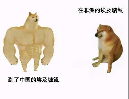 震惊奔波儿灞不知所踪,竟是因为