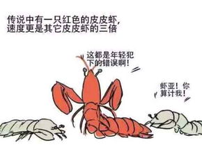 皮皮虾的幸福生活