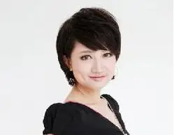 2013中国40岁以下商界精英