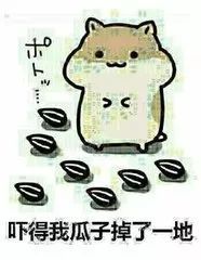 阿娇终于被求婚了,可是倍受关注的却是男方的情史