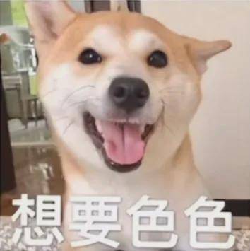 不可以色色表情包