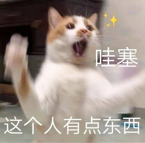 有人15岁就参加工作,还有人32岁就当了副市长,年少有为的人怎么这么多