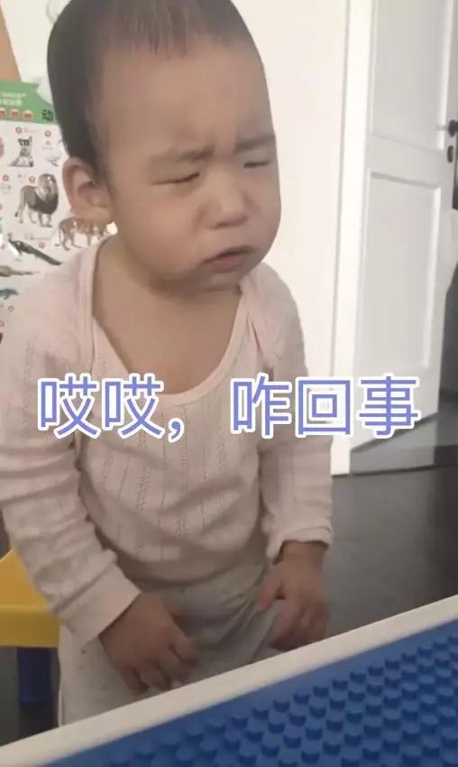 谢楠晒二胎日常,弟弟生气变表情包太像吴所谓,成全家的快乐源泉