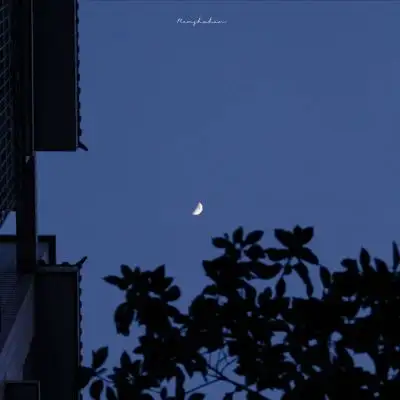 70后大叔头像图片风景大全腔调