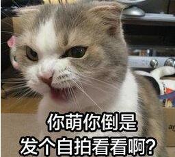 爆笑段子结婚后到了婆家,千万不能懒惰