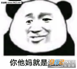我能和你成为qq好友吗表情包图片为什么不回复熊猫头群聊斗图表情包下载乐游网游戏下载