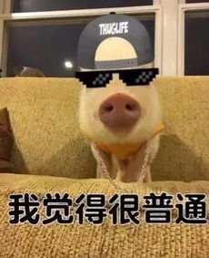 我觉得ok啊,场面有点失控啊...