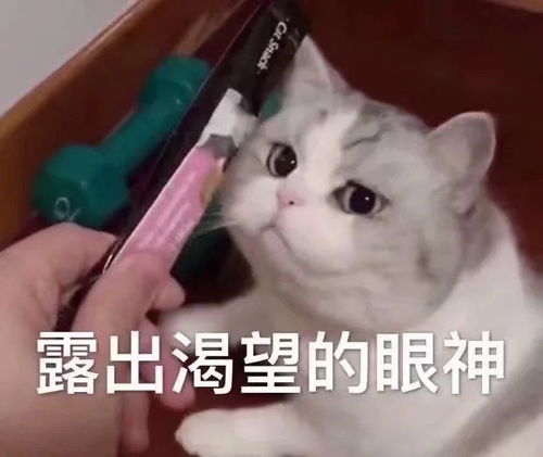 应用心理专硕考研想找一所好考的院校这些院校招生多,分数低