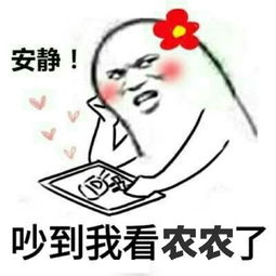 ntjj是什么梗ntjj是什么意思365经典网