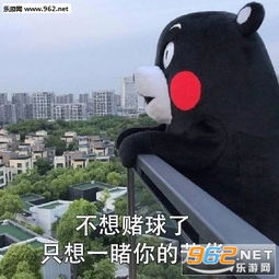 比赛总会结束但想你不会图片熊本熊世界杯情话表白表情包下载乐游网游戏下载