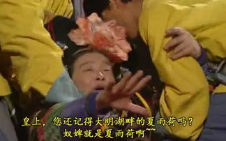 史上最全的还珠格格表情包,你笑死过去还有生还希望吗
