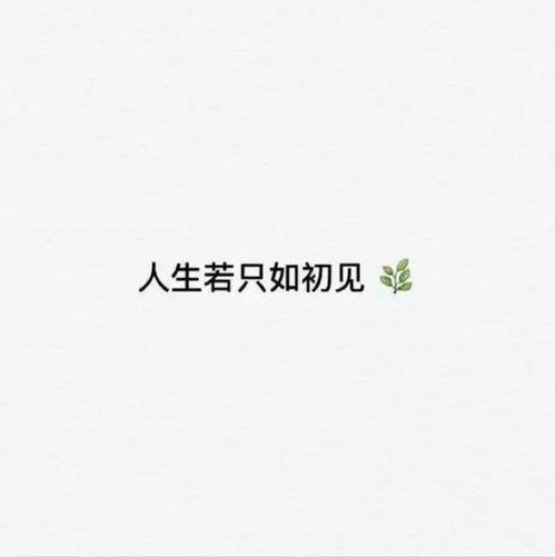 60秒的爱情