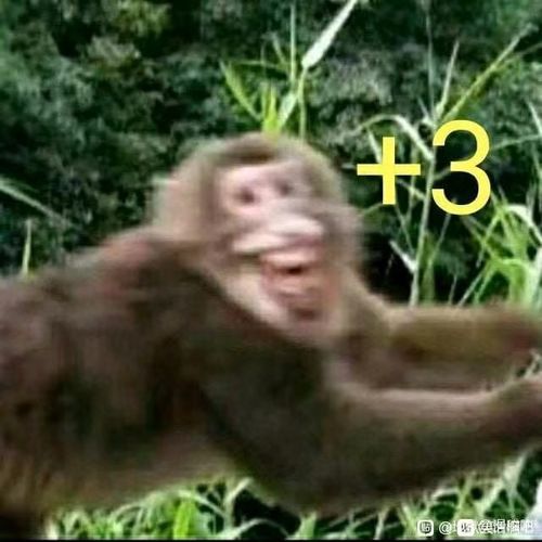黑色战袍