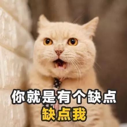 土味情话表情包拿去撩你的男女神