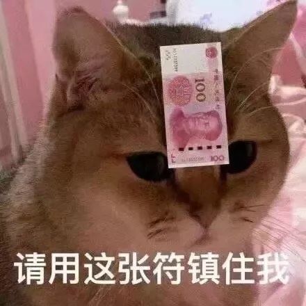 剁手警告现在连知乎都开始排美妆护肤榜了